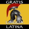 Icon Lingua Latina Verbs - Latin Verbs - Free