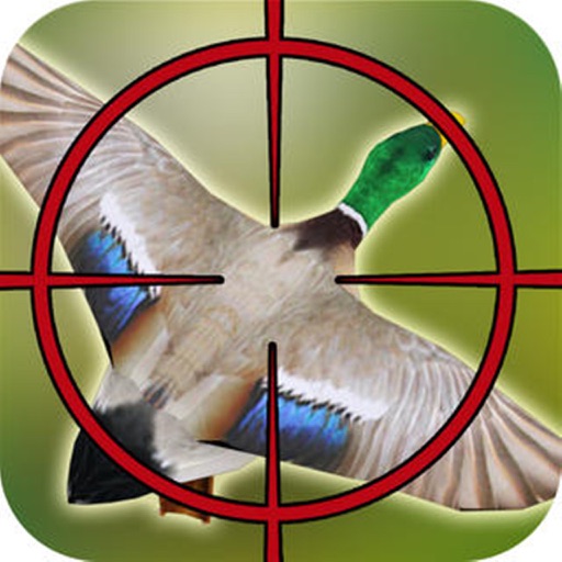 Real Bird Hunting Challenge - Best Bird Hunter iOS App