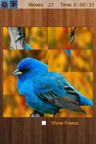 Birds Jigsaw Puzzles - Titan screenshot 3