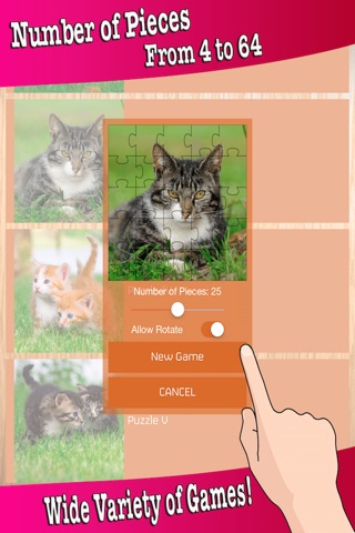 Kitten Baby Animal Game - Cute Cat Puzzles Jigsaw screenshot 3