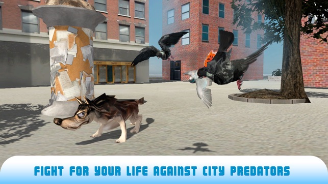 Pigeon Bird Survival Simulator 3D 2 Full(圖4)-速報App