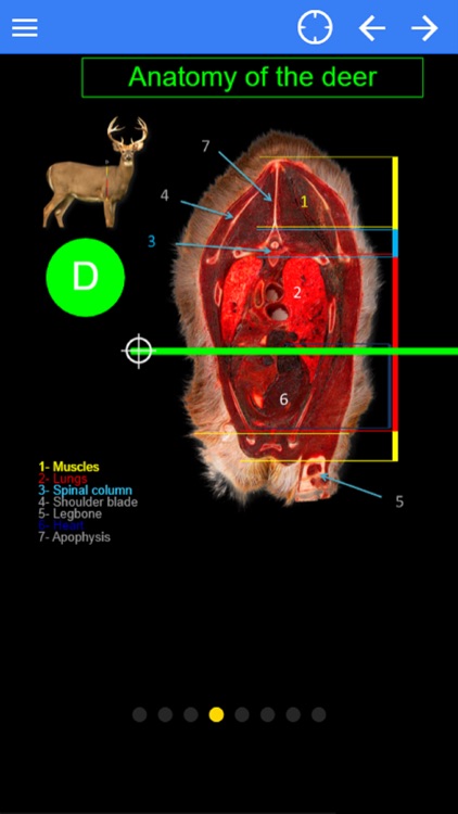Tracker - Deer