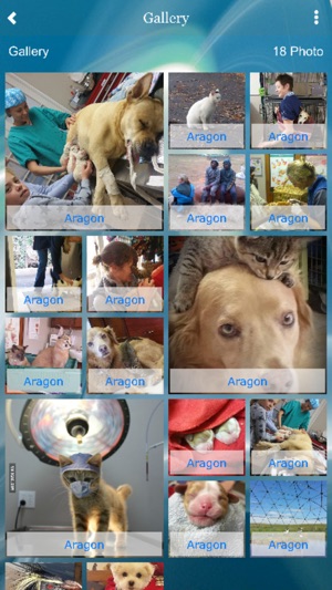 Aragon Veterinary Clinic(圖1)-速報App