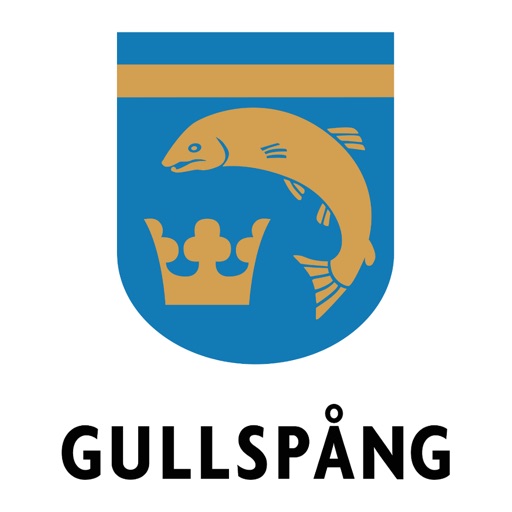 Synpunkter & fel Gullspångs kommun