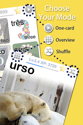 Learn Brazilian Portuguese Vocabulary FlashCards - náhled