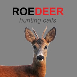 Roe Deer Calls and Roe Deer Sounds