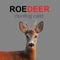 Roe Deer Calls and Roe Deer Sounds