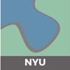 Customary NYU