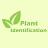 Plant Identification Glossary-Terminology Study