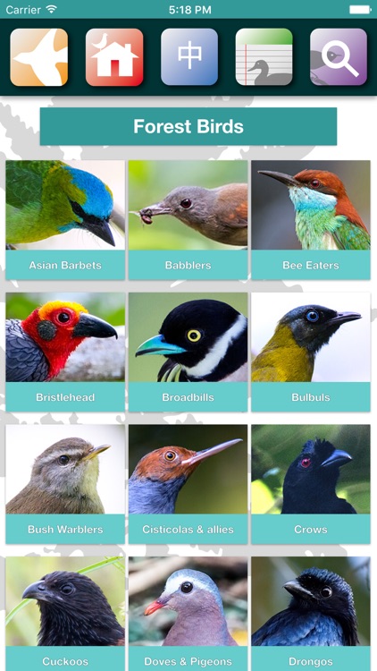 Sabah Birds