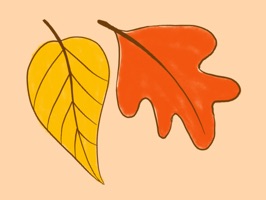 Autumn shows us how beautiful it is to let things go