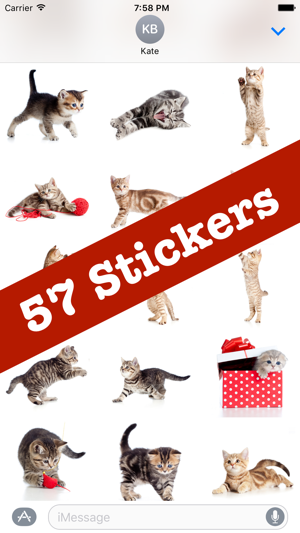 Cute Kittens Sticker Pack(圖2)-速報App