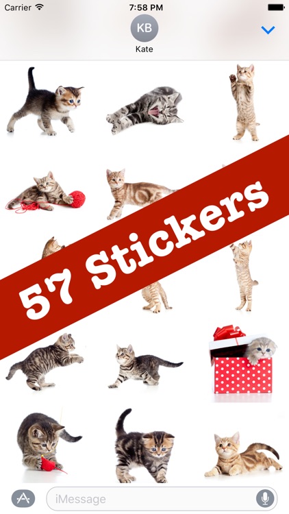 Cute Kittens Sticker Pack