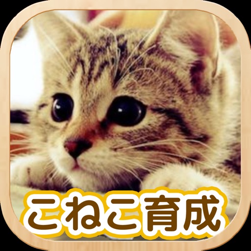 Cat Healing Life Free iOS App
