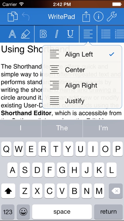 WritePad Professional