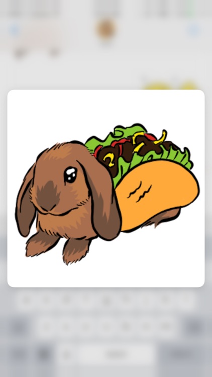 KikuKiku