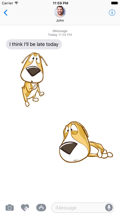 Drake the Dog
