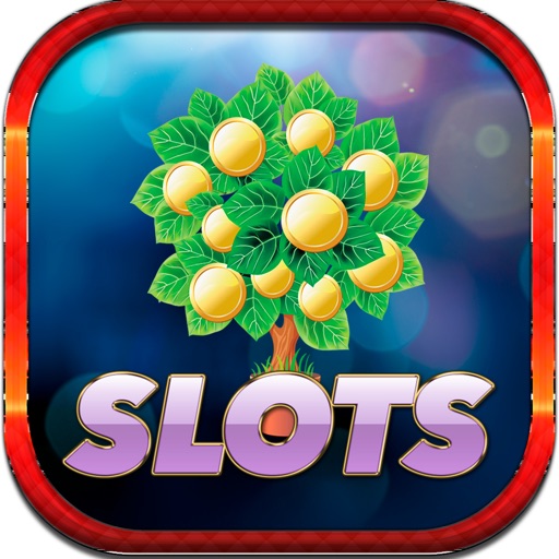 Chair of Gold Casino Big Slots