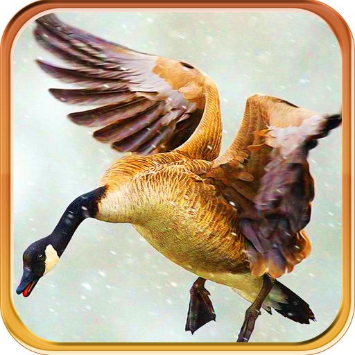 Creepy Duck Hunting Island Pro - Unlimited Sniper