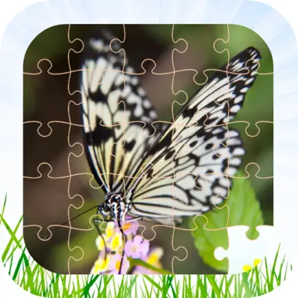 Butterfly Jigsaw Puzzle Kid Game Cheats