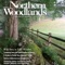 Northern Woodlands is the Northeast's magazine for all-things-woods: from sawlogs to saw-whet owls; chainsaws to chipmunks; sugarmaking to sugar ants