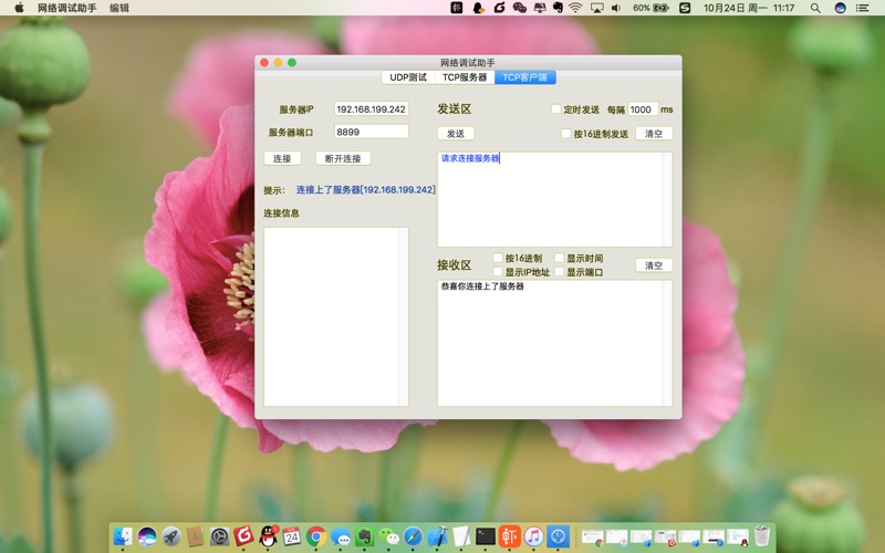 【图】网络调试助手(截图2) 【图】网络调试助手(截图2)