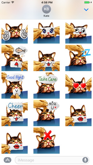 Meme Cat Sticker(圖1)-速報App