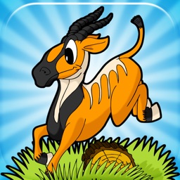 Safari Kids Zoo Games