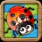 Insect Puzzle HD