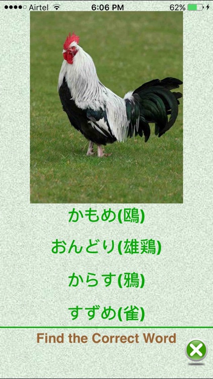 FlashCards Japanese Lesson screenshot-3