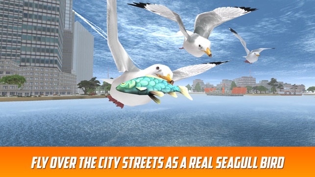 Seagull Bird Survival Simulator 3D Full(圖1)-速報App