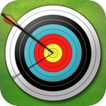 Archer Winner 3D Game