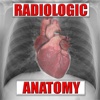 Radiologic Anatomy