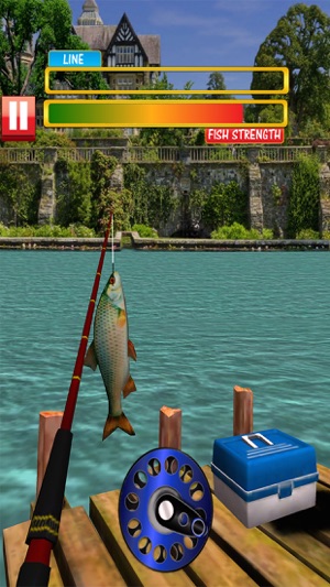 Real Wild Fishing Ace: Catch Paradise(圖1)-速報App