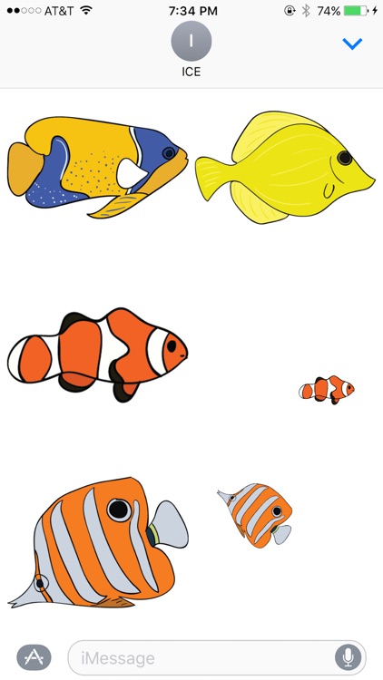 Marine Friends