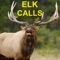 Elk bugle and elk calls with elk sounds perfect for elk hunting