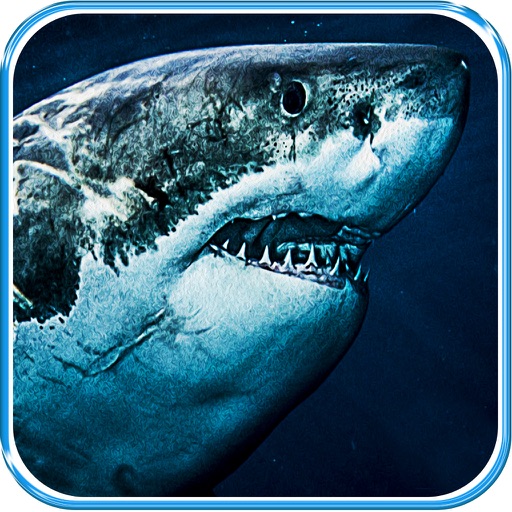 Flying Jumpy Shark Hunting Ultimate Adventure Pro Icon