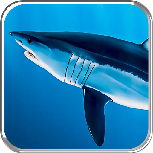 Flying Hungry Shark Endless Sniper Shooting Pro Icon