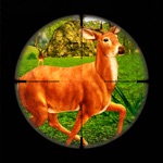 Deer Hunting Game 2016  Sniper Kill Animals Free