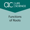 Functions of Roots