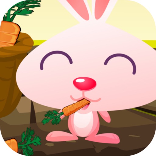 Rabbit On Farm icon