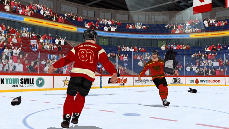 Hockey Fight Lite