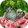 Butterfly Puzzles - Jigsaw Puzzle Game For Kids