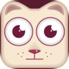 Cat Match Game for kids