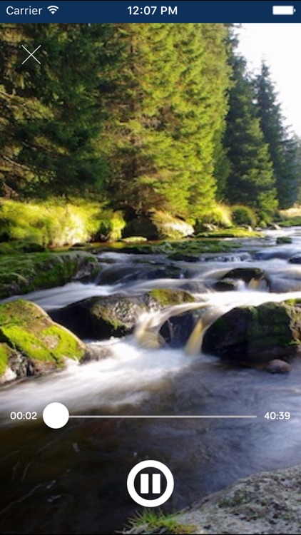 Zen Pro Meditation - Binaural Beats Program App screenshot-3