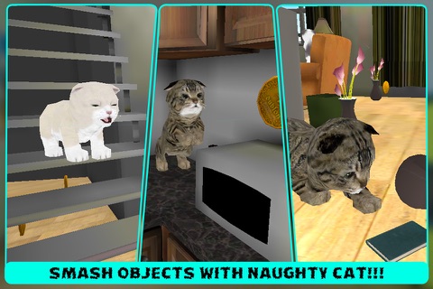 Crazy Cat Pet Simulator 3D screenshot 3