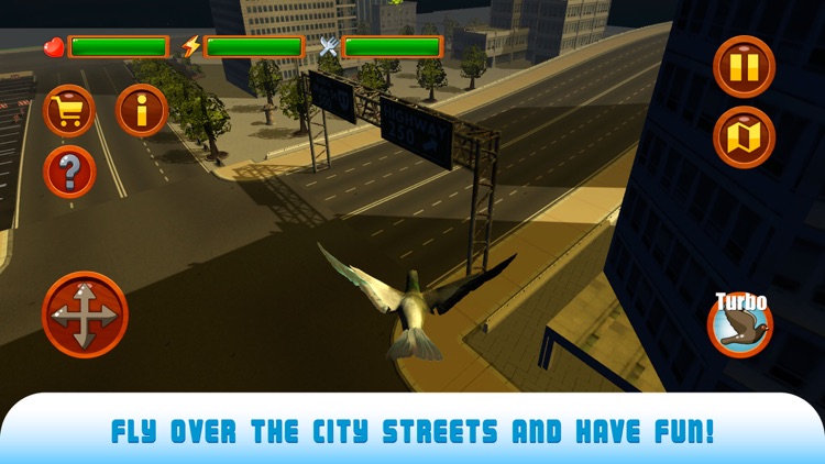 Pigeon Bird Survival Simulator 3D Full screenshot-3