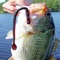 How To Catch Bass is an app that includes helpful information on how to catch bass