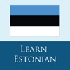 Icon Estonian 365