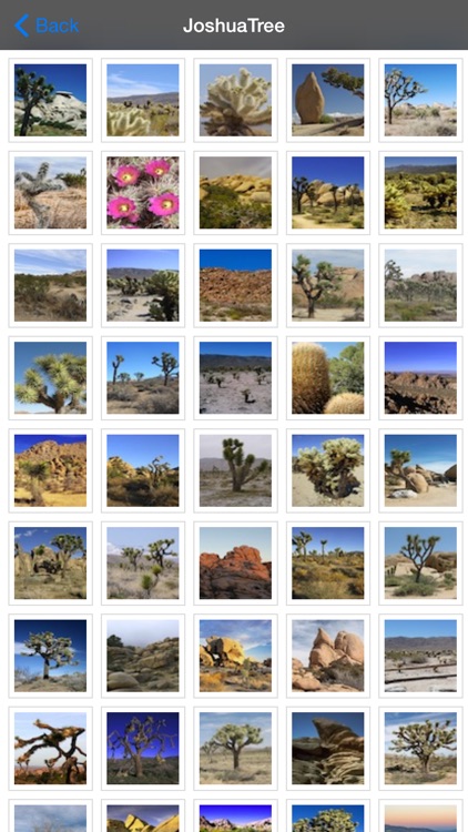 Joshua Tree National Park - USA screenshot-4